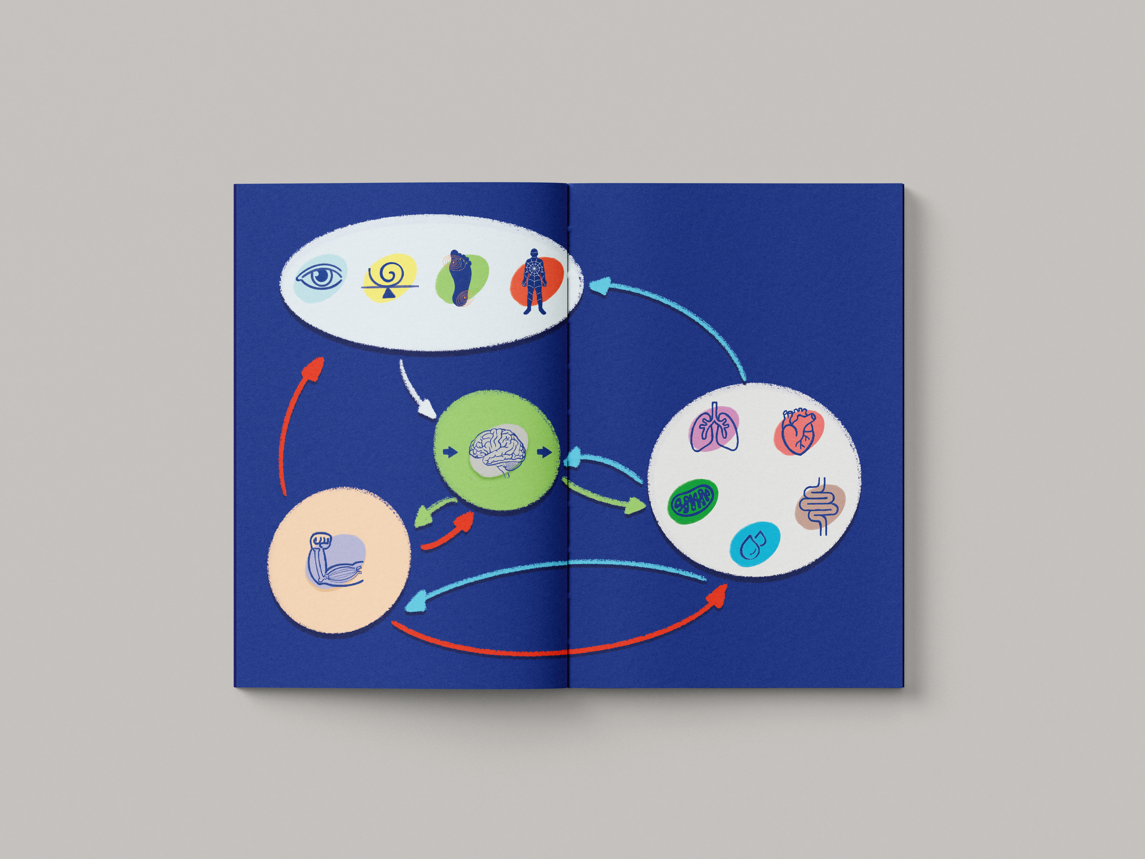 Interior spread with section headings and explanatory diagrams