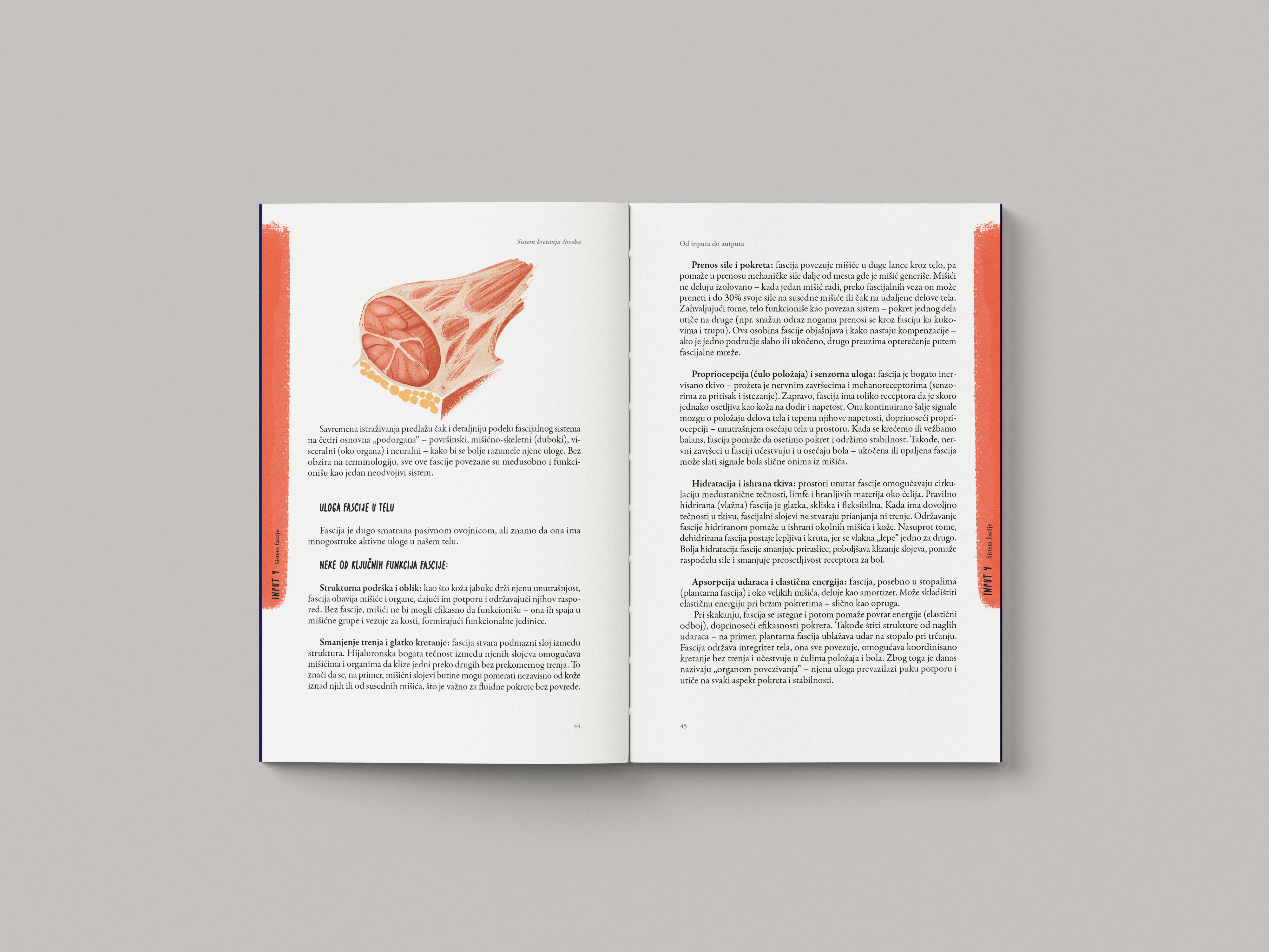 Interior spread with biomechanical diagrams and annotated illustrations